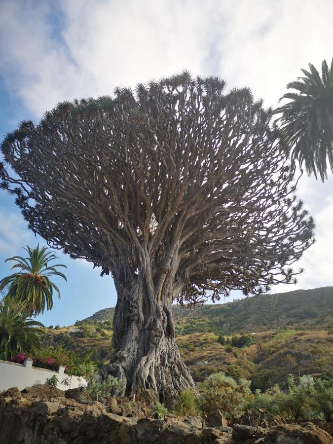 Holiday home Casita Canaria *