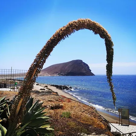 Casita Canaria Santa Cruz de Tenerife Exterior photo
