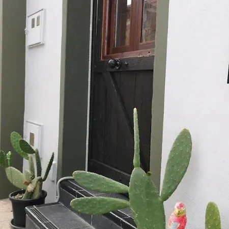 Casita Canaria Santa Cruz de Tenerife Exterior photo